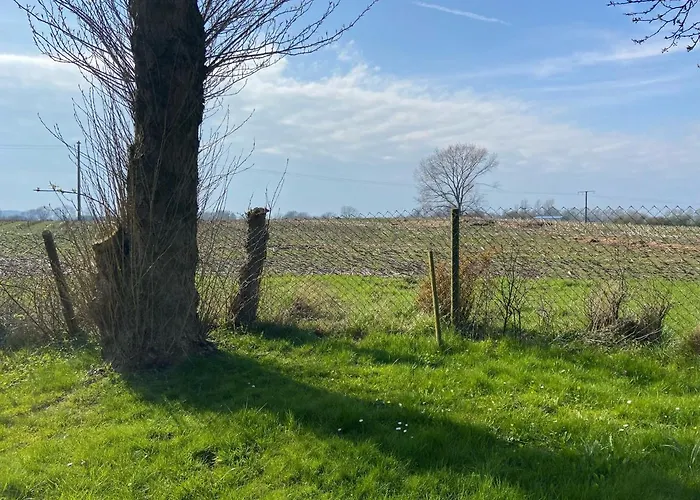 Kaetchens Glueck Dorphof